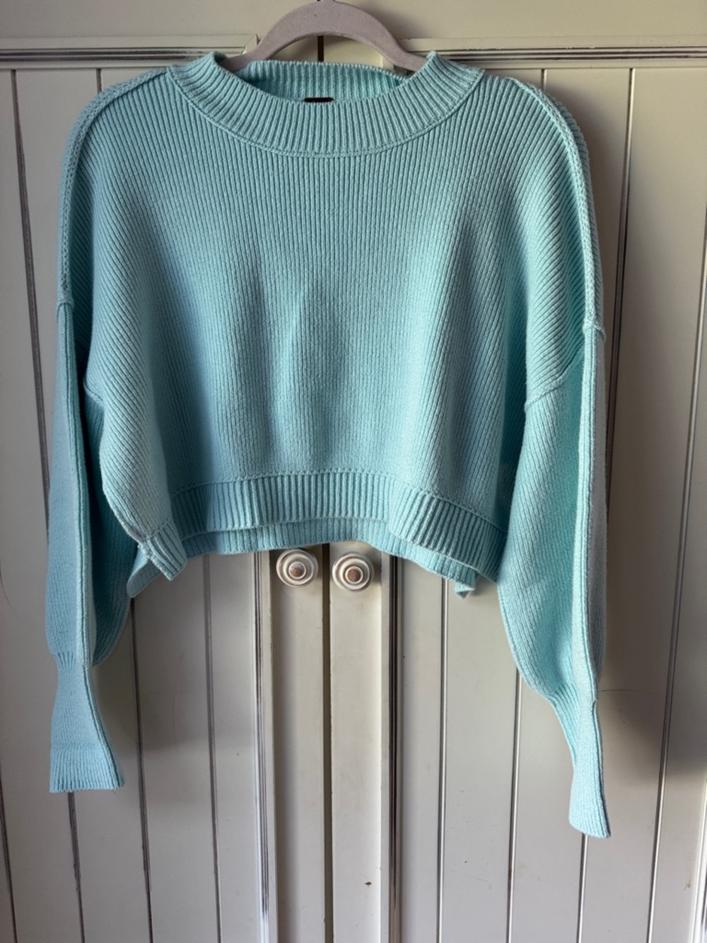 Cropped Crewneck Sweater in Light Blue - Women